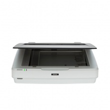 爱普生（EPSON） Expression 12000XL 大幅面A3影像文档扫描仪 新品12000 12000xl扫描仪