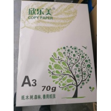 A3纸/包