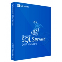SQL Server 2017 中文标准版  单位：（套）
