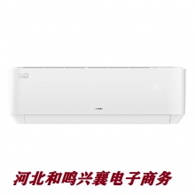 格力32564 悦风 挂机空调