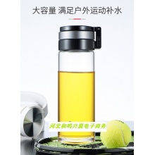 6075单层玻璃杯 带滤网 480ml