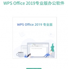 WPS Office 2019专业版办公软件